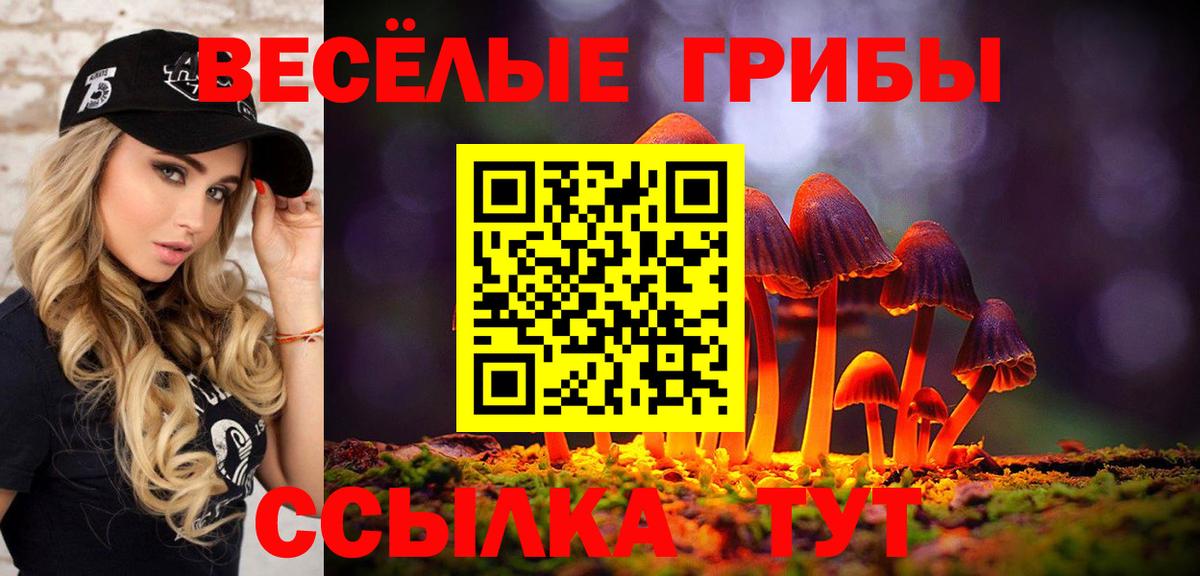 Псилоцибиновые грибы мицелий  Галлюциногенные грибы Cubensis  Вход с VPN  Бийск 